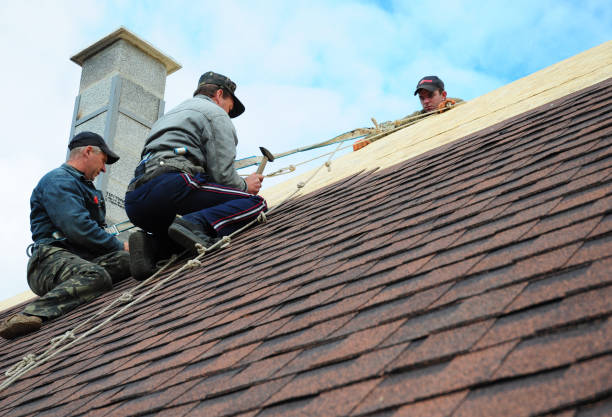 Best Roof Gutter Cleaning  in Estelle, LA
